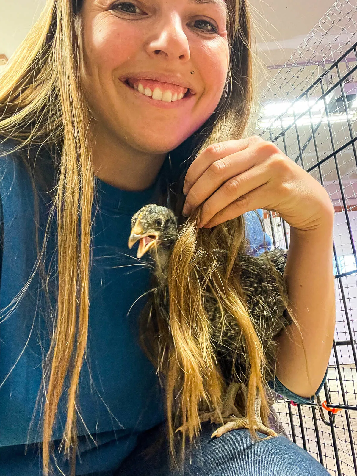 Holding a 4 week old chick. 