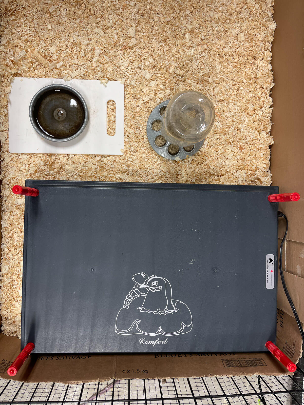 Overhead view of a dog crate chick brooder. 