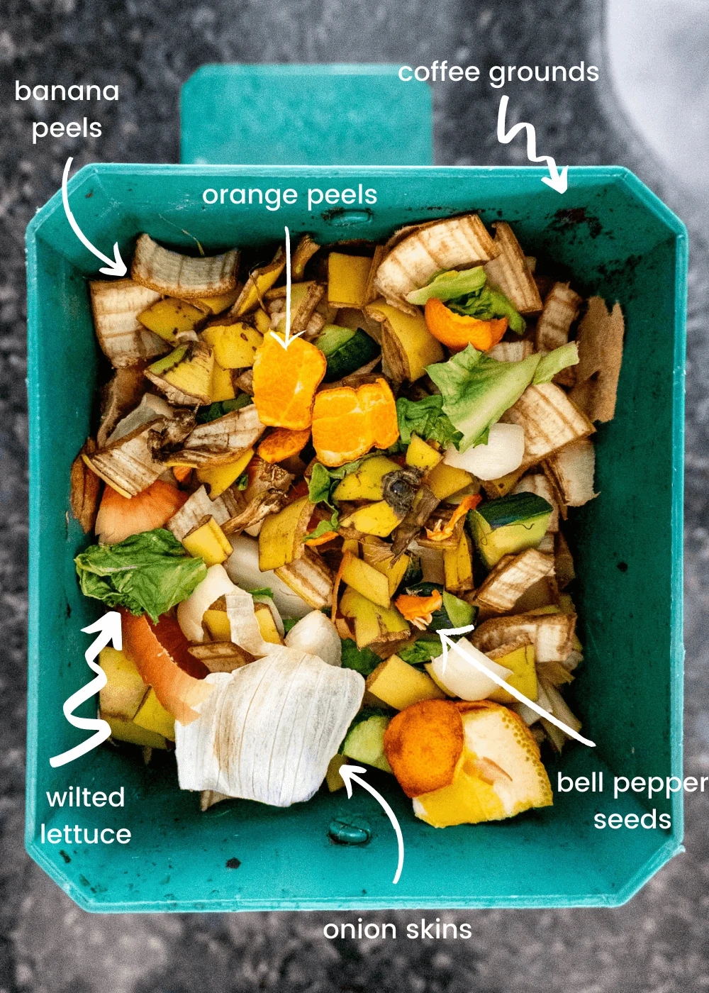 Examples of green compost additions for winter composting. 