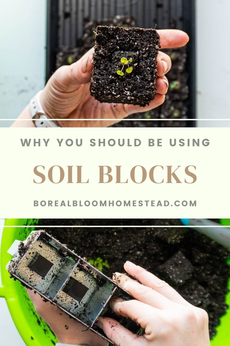 You should be using soil blocks pinterest graphic.