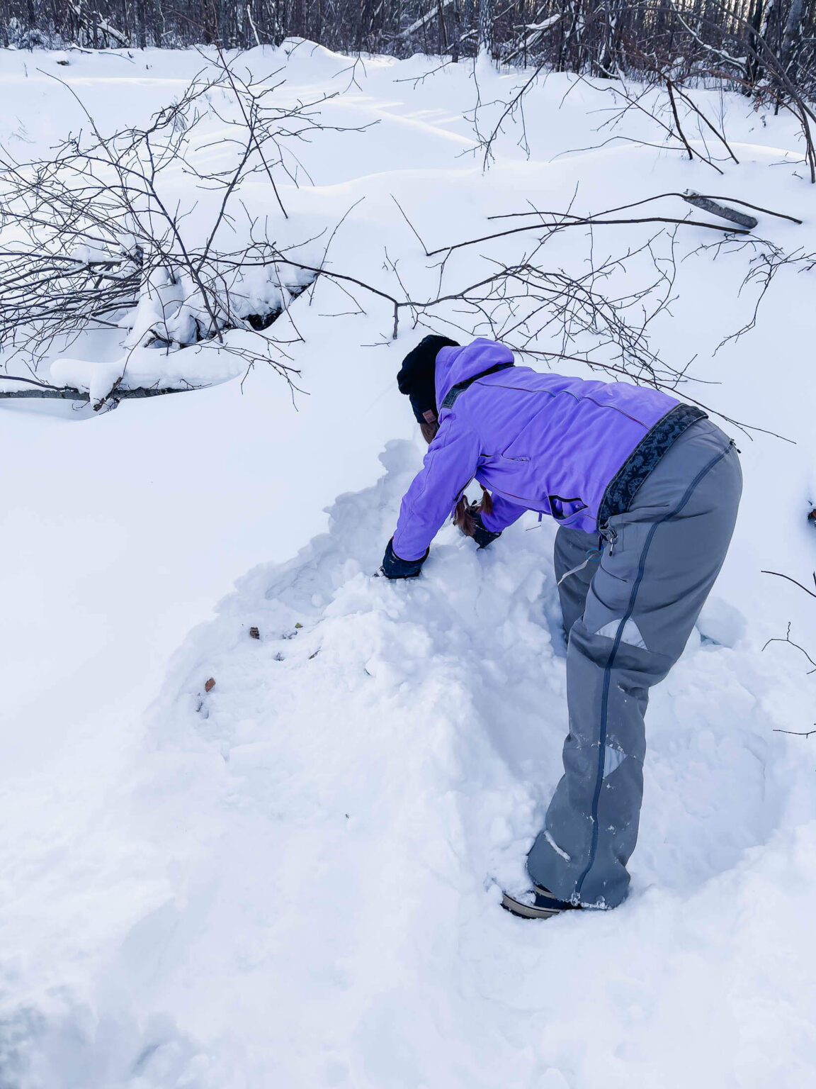 Winter Composting What You Need To Know About Doing It In The Cold   Winter Composting 09 1152x1536 