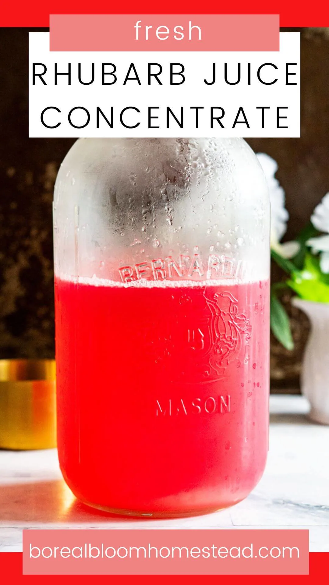 Fresh rhubarb juice concentrate pinterest graphic.