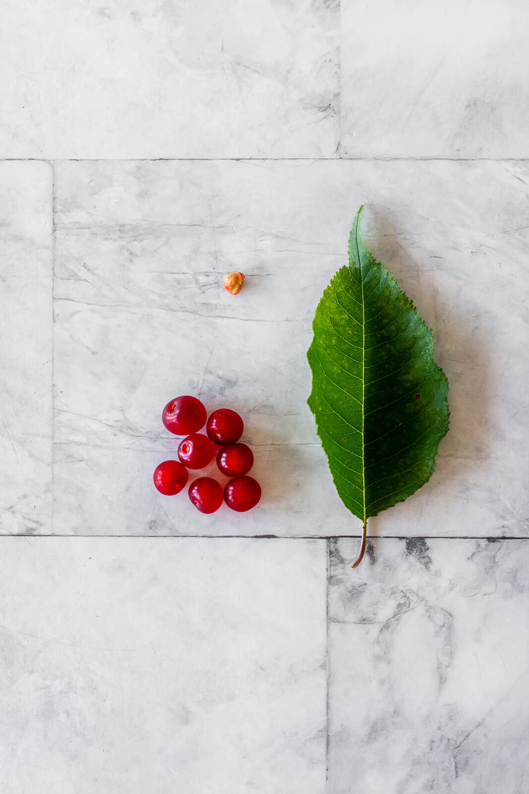 Pin cherries with their leaves and a pit for identification. 