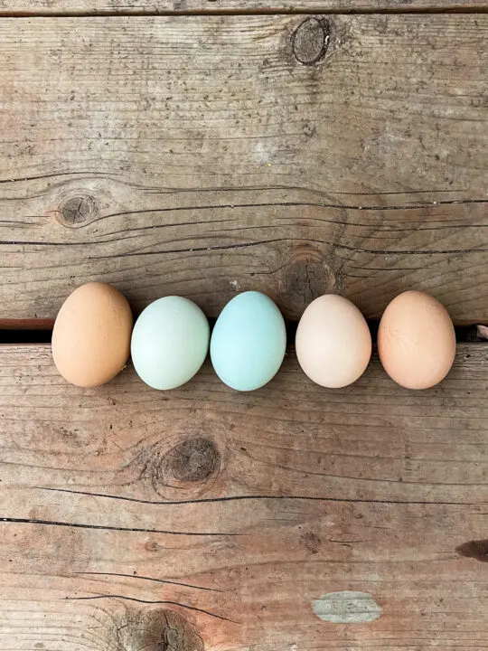 Colorful eggs.
