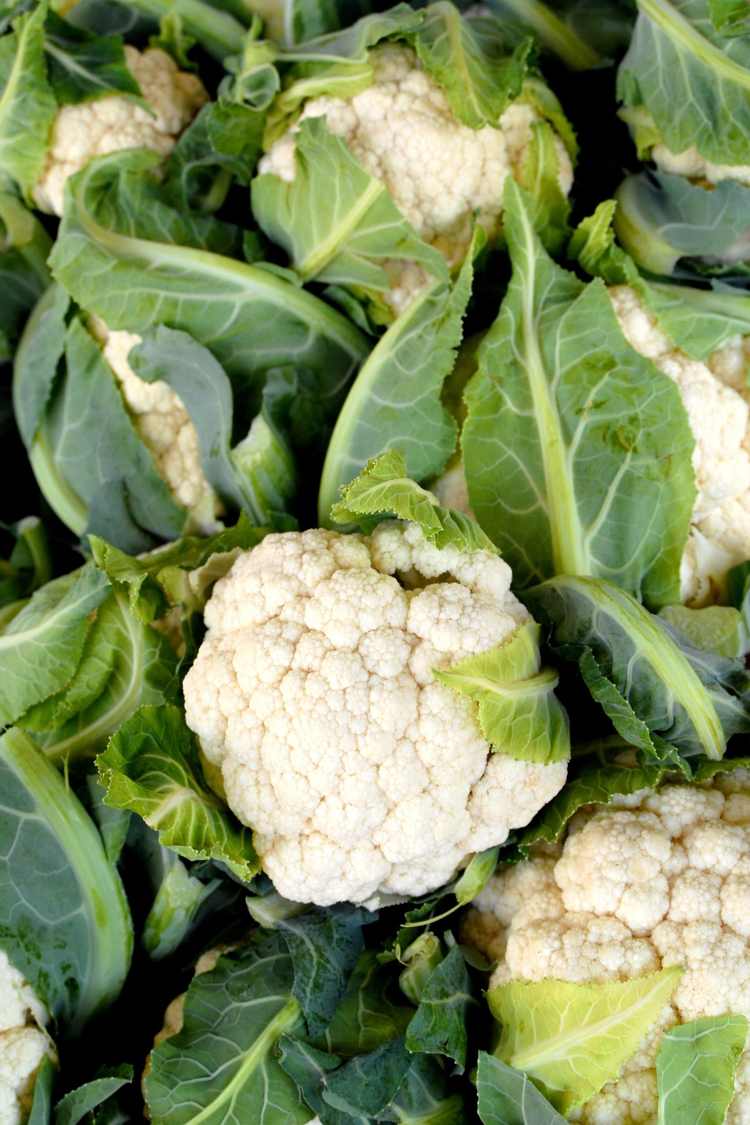 Cauliflower heads. 