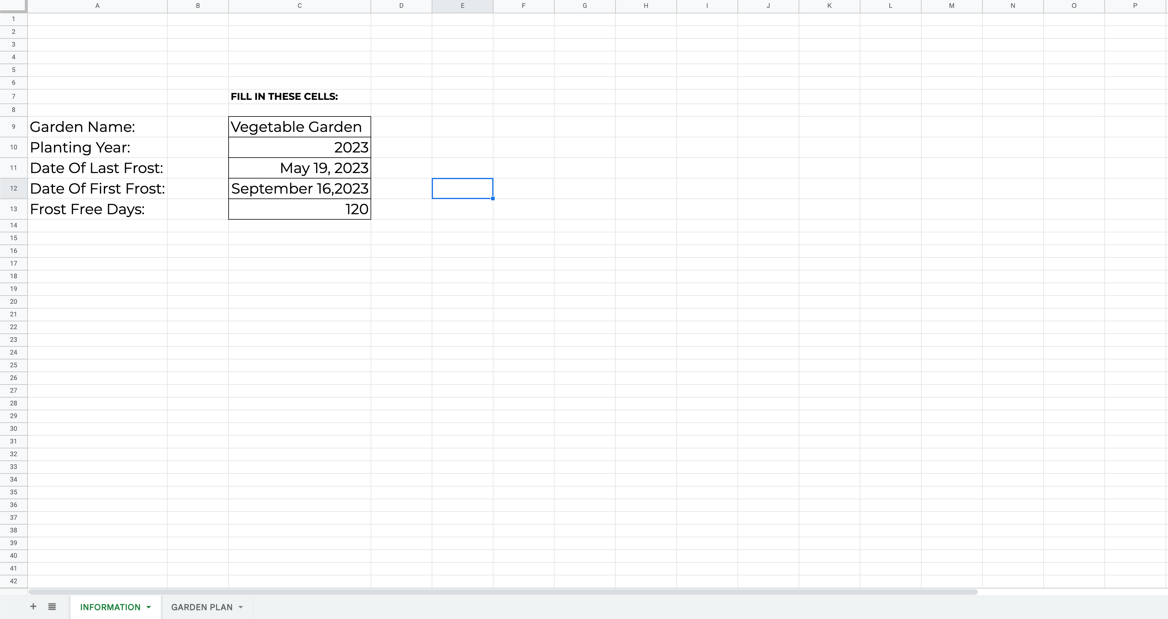 Spreadsheet with fillable cells. 