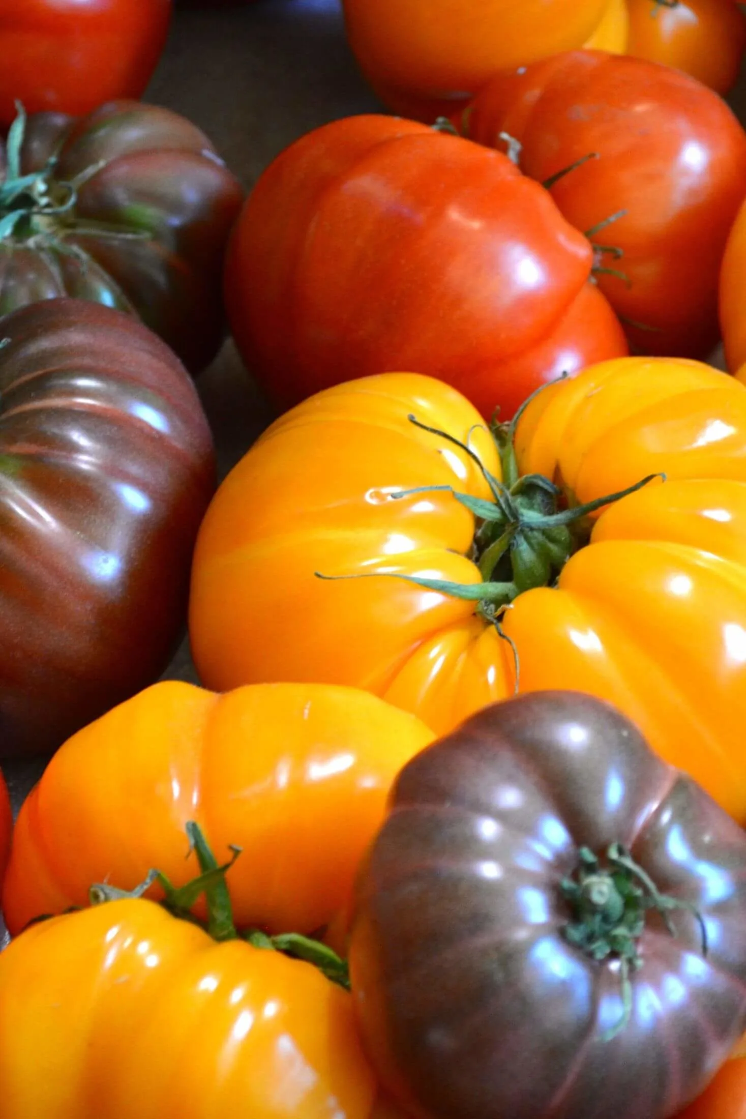 Heirloom tomatoes. 