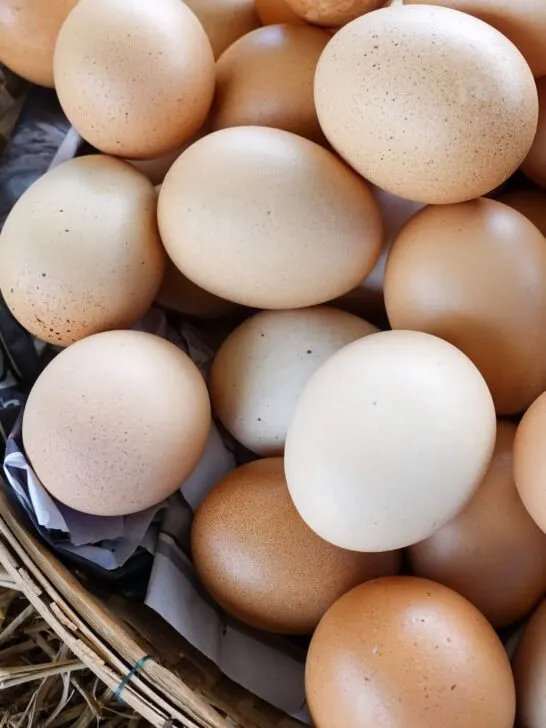 Brown and white egg collection.