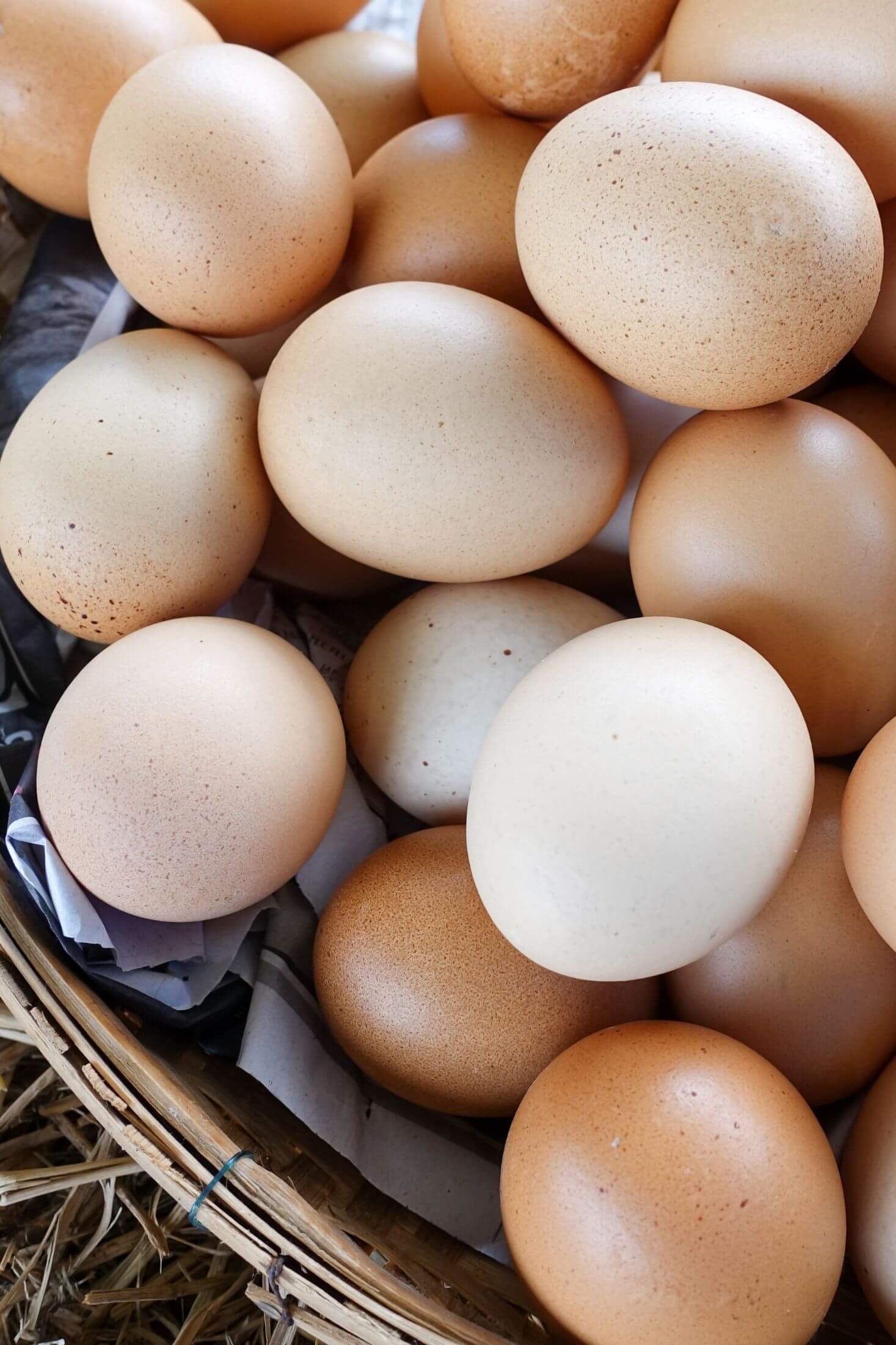 Brown and white egg collection. 