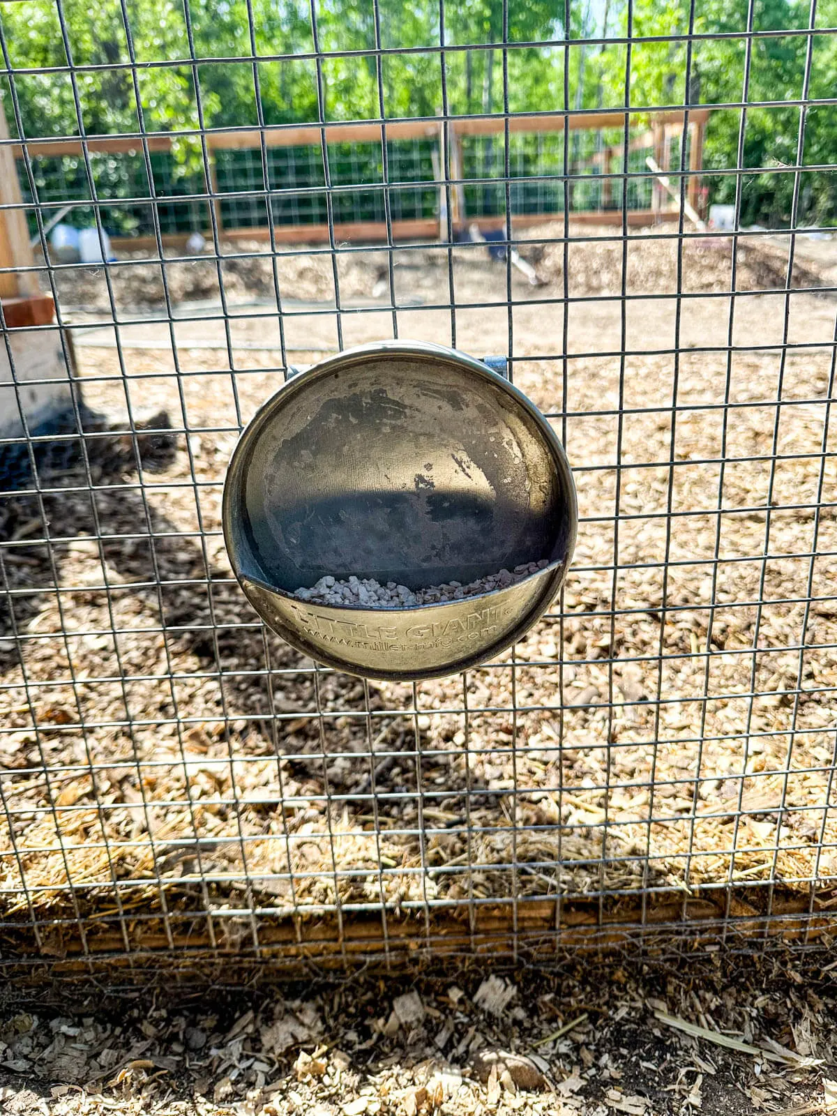 Round waterer used as oyster shell dispenser. 