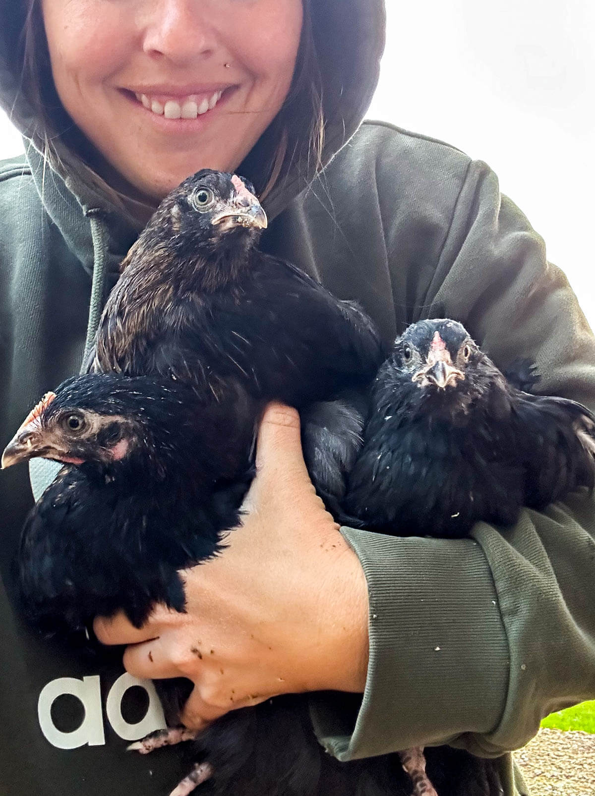 Woman holding 3 chicks. 