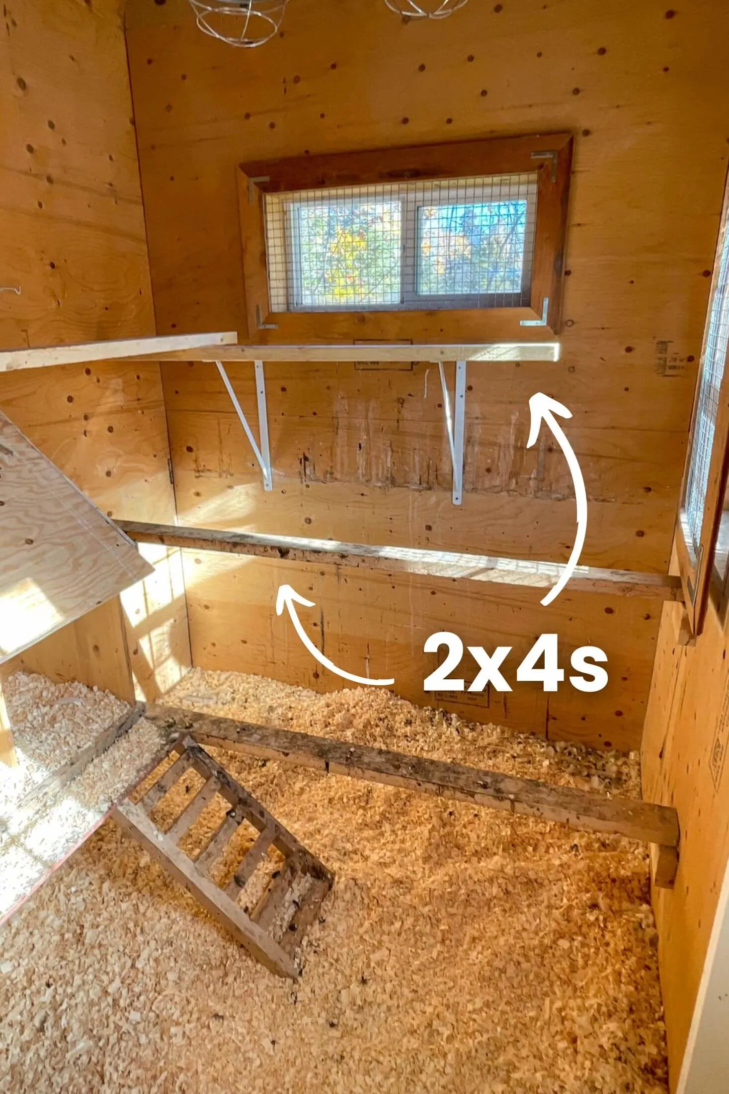 Labeled photo of roosting bars in the coop.