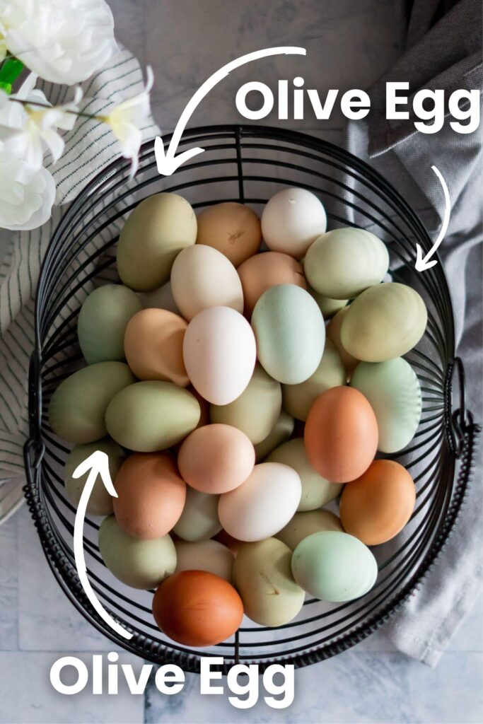 Colorful eggs in a basket