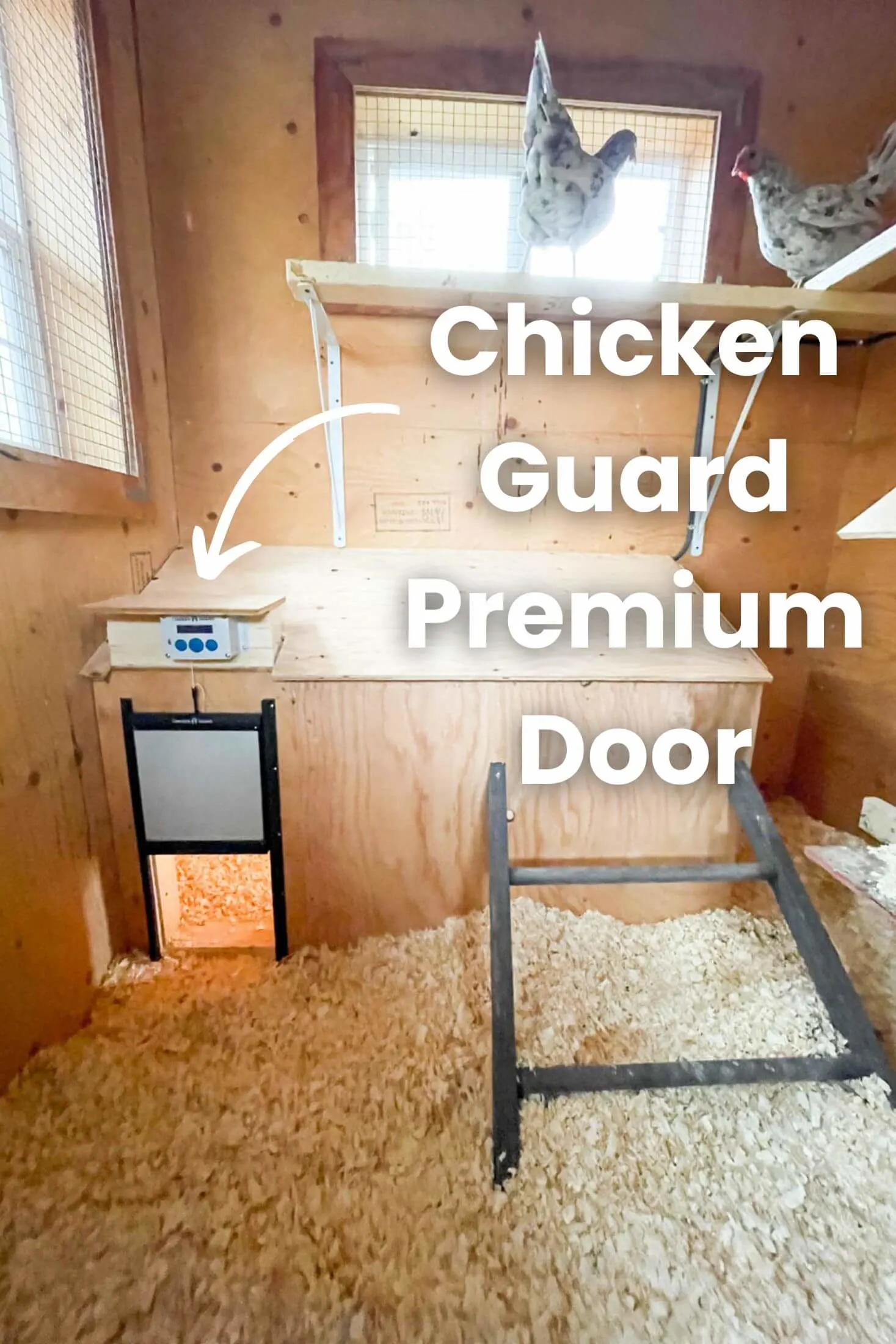 Chicken guard premium door installed inside chicken coop.