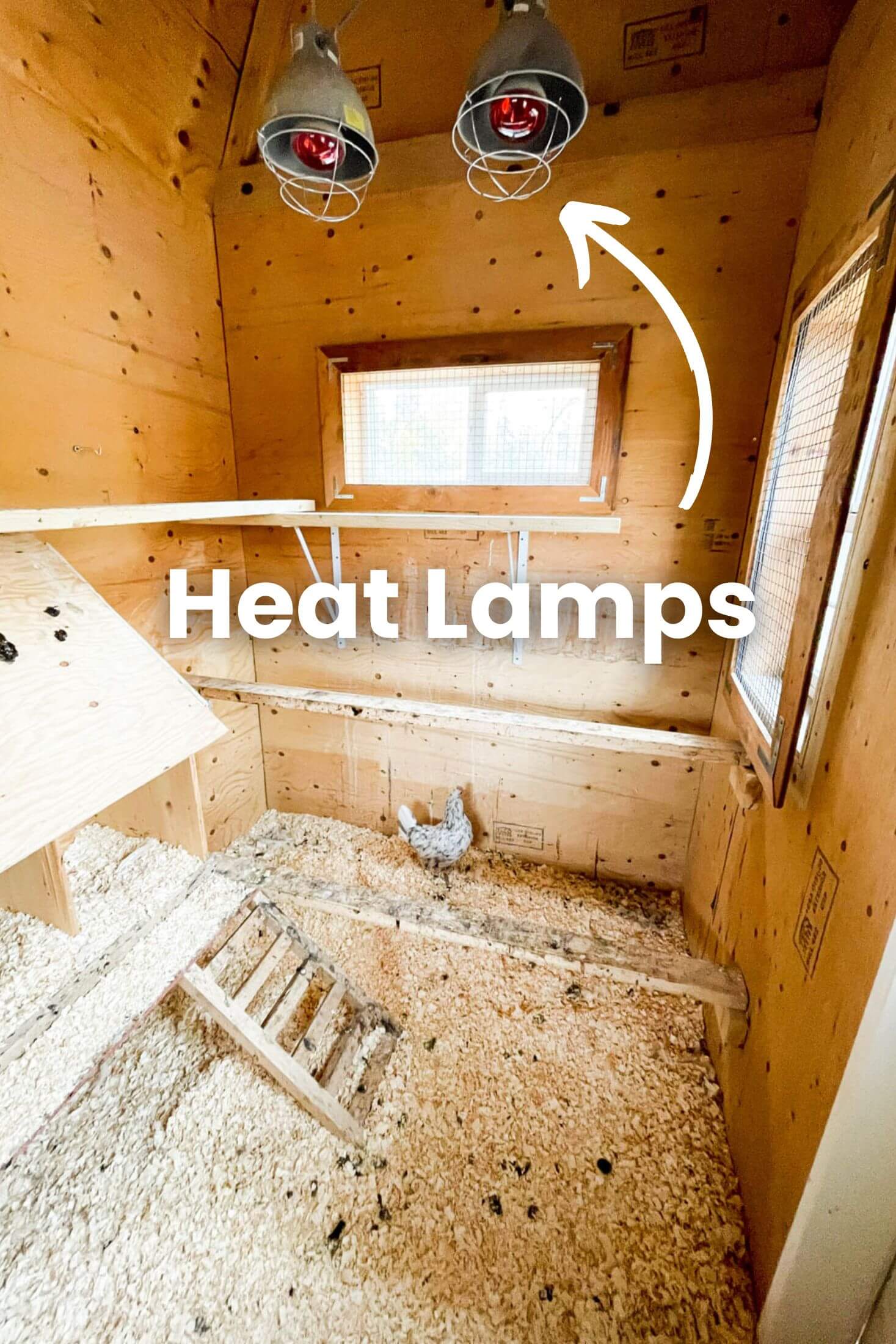 Heat lamps in a chicken coop.