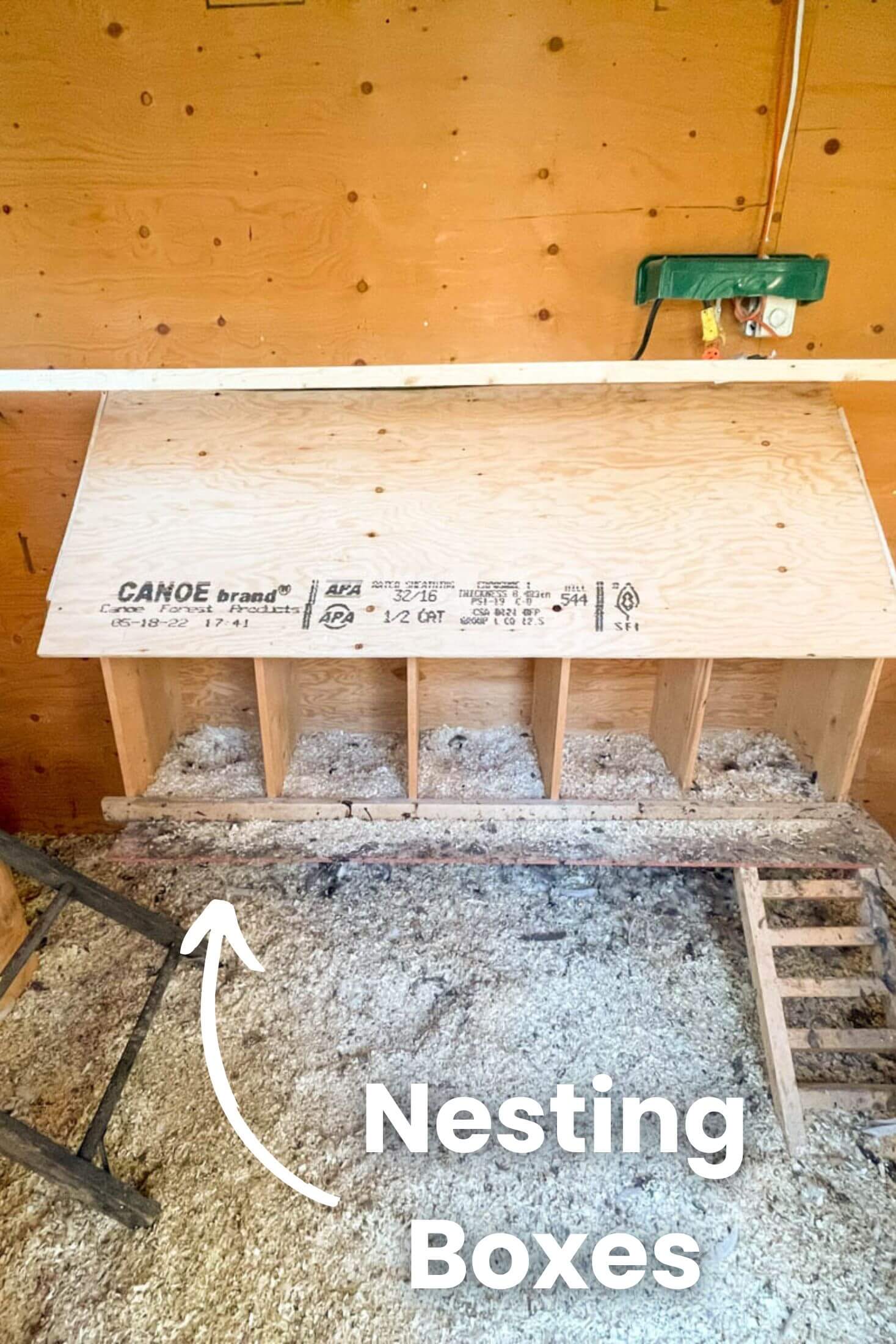 Nesting boxes in the coop.