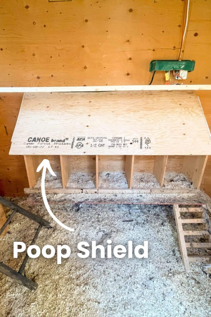 Chicken Coop Tour {Photos + Video} | Boreal Bloom Homestead
