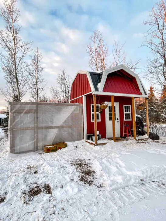 Red barn chicken coop in winter.