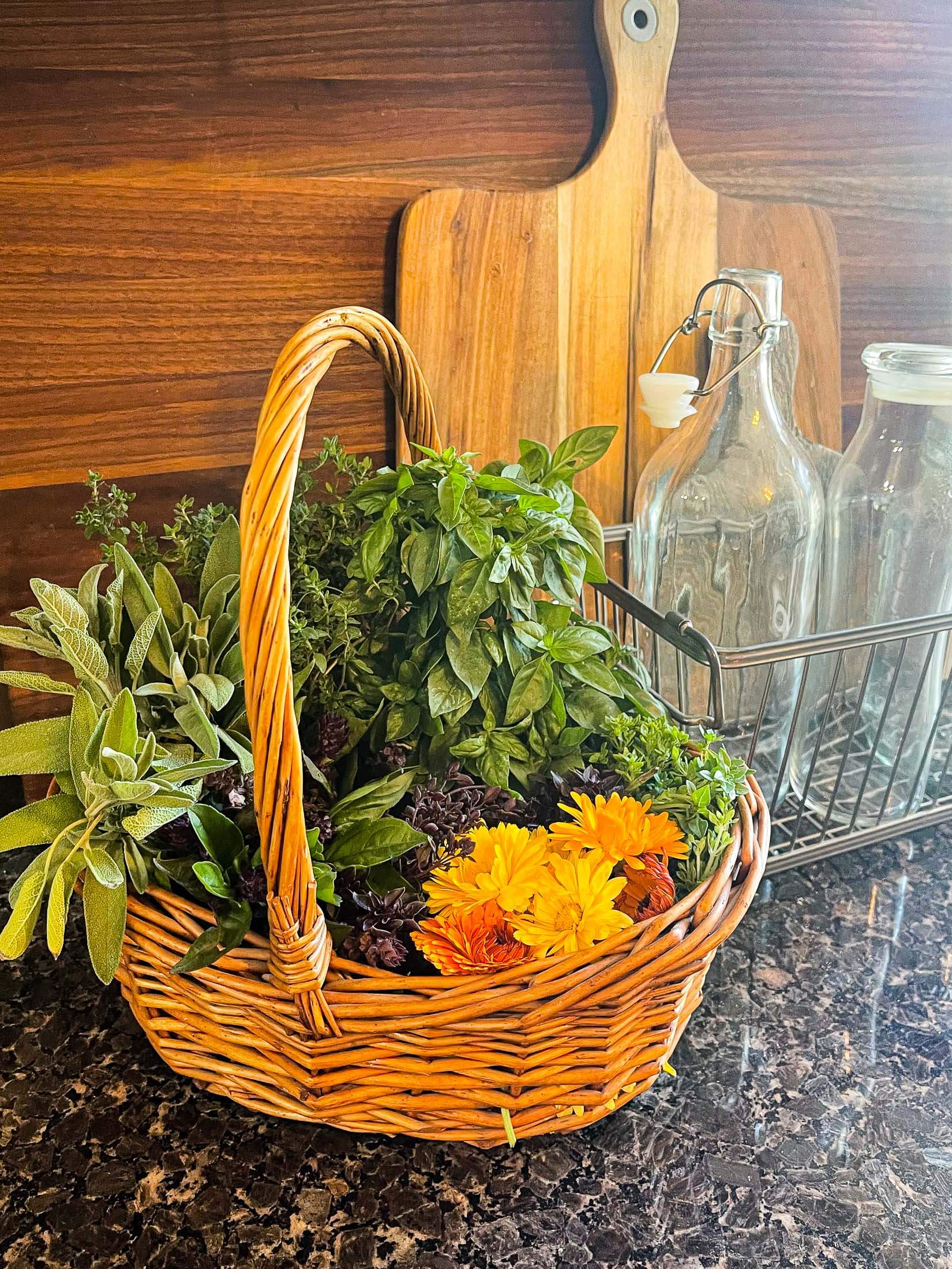 Freshly harvested herbs and calendula flowers in a wicker basket. 