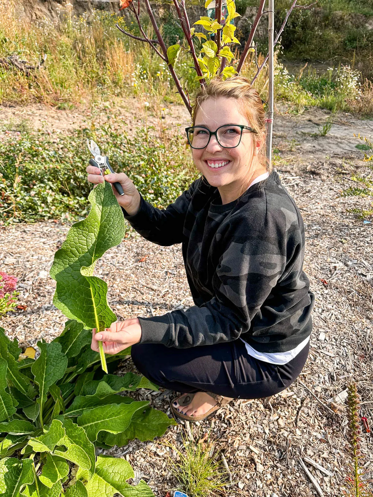 Woman holding a large comfrey leaf.