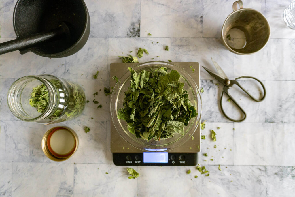 Weighing dried comfrey leaves. 