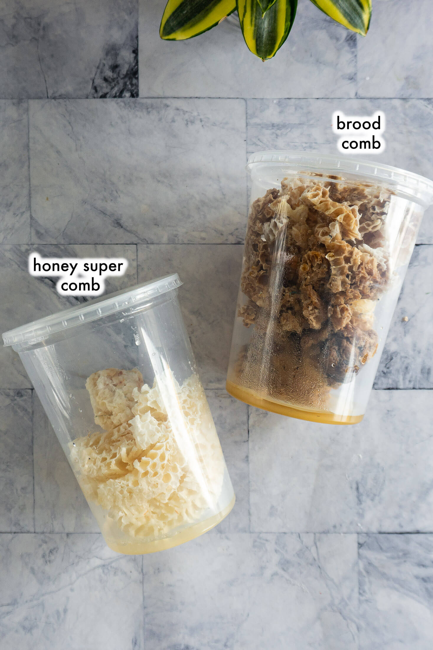 Two containers, one with brown brood comb and one with creamy white super comb. 