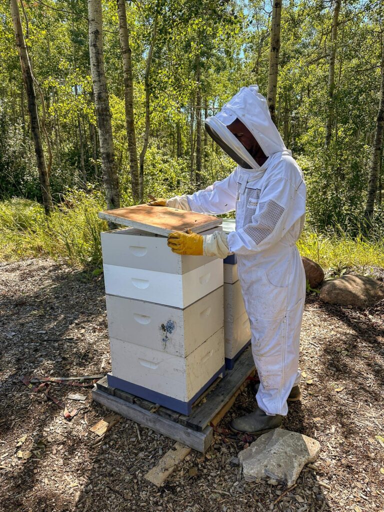 Showing the painted inner cover.